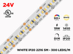 24V 5m iP20 2216 Single Color LED Strip - 300 LEDs/m (Strip Only)