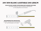 Ruban LED iP20 24V 3014 Blanc Chaud Blanc Froid Ajustable à 240 LEDs/m - 5m (Ruban seul)