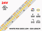 24V 2.5m iP20 2835 White High Output LED Strip - 320 LEDs/m (Strip Only)