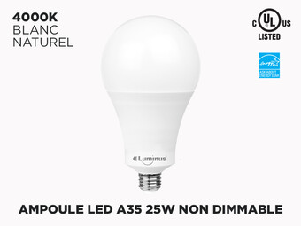 Ampoule LED E26 25W A35 - Non Dimmable - PLYC1484