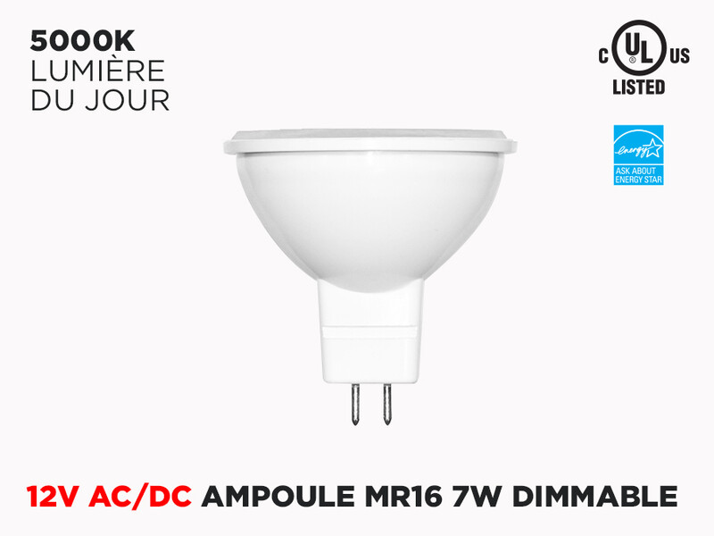 Ampoule LED 12V AC/DC MR16 Compacte 7W